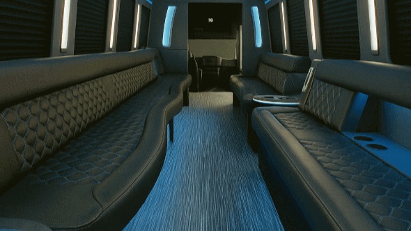 mcallen 20 passenger party bus rental