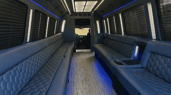 mcallen 25 passenger party bus rental