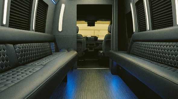 mcallen 30 passenger party bus rental