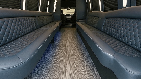 mcallen 40 passenger party bus rental