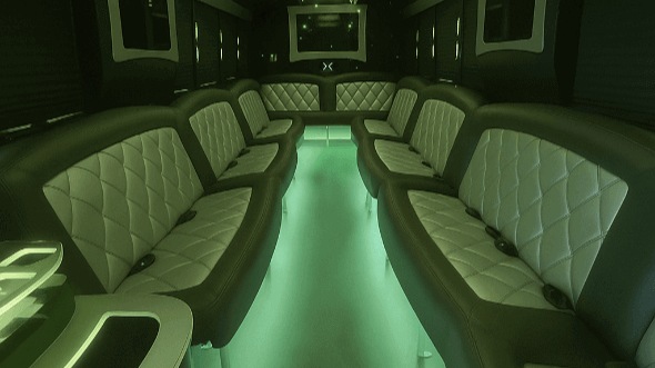 mcallen 50 passenger party bus rental