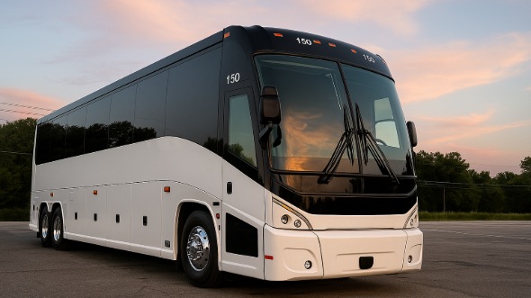 mcallen bachelor and bachelorette party bus rentals