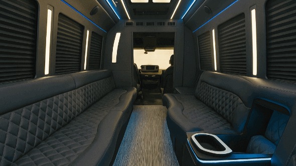 mcallen party bus rentals