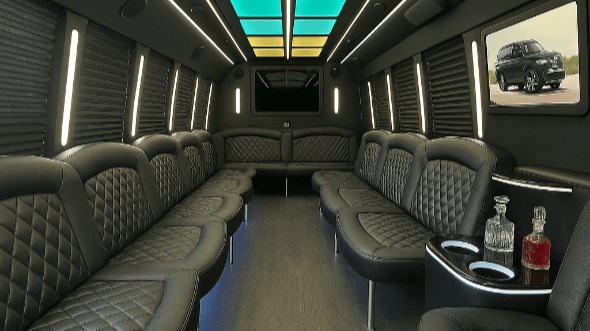 mission 20 passenger party bus